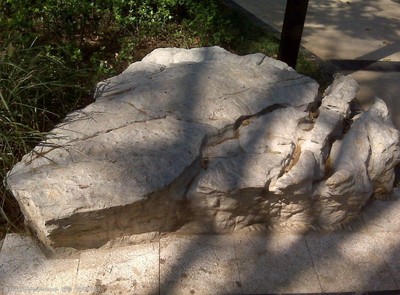 景觀石與假山石的藝術(shù)魅力及其在園林設(shè)計(jì)中的應(yīng)用