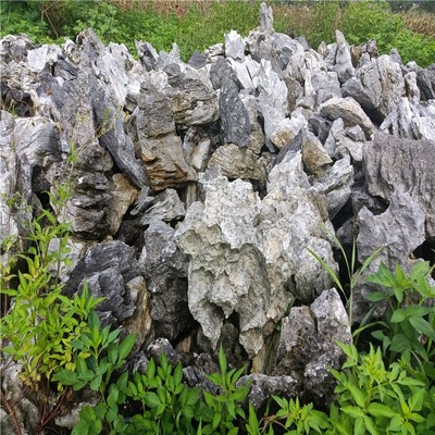 峰石造景 庭院假山與園林英石的藝術(shù)融合