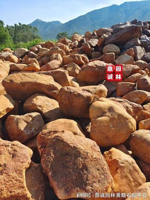 黃蠟石 多面景觀藝術(shù)的天然瑰寶