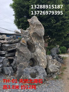 探尋英德市望埠鎮(zhèn)強(qiáng)晟石場 天然太湖石與優(yōu)質(zhì)景觀石的瑰麗世界