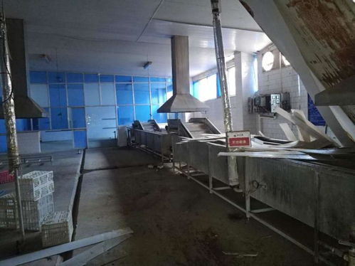 鹽城海馬食品資產網絡拍賣啟幕，廠房設備打包2115萬起拍引關注